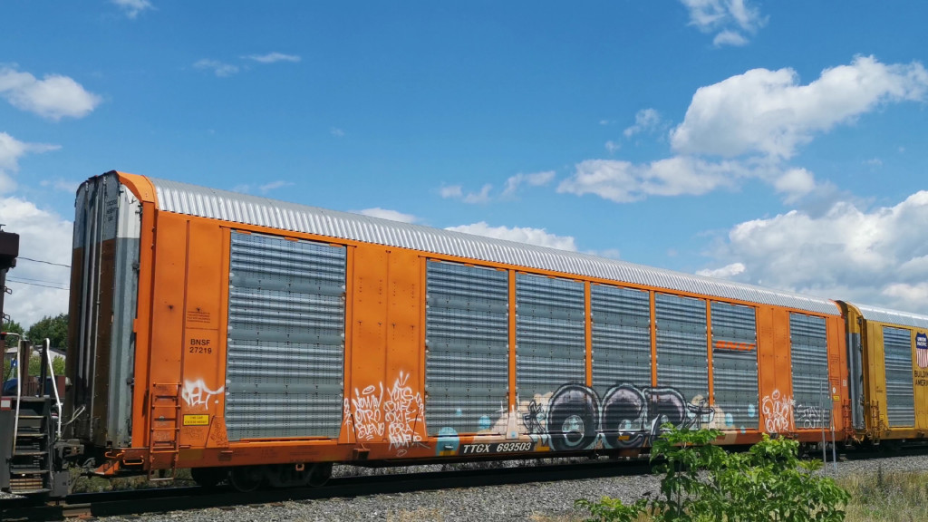 BNSF 27219 (Body) TTGX 693503 (Flat)